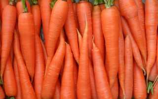 Морковь: польза и вред при сахарном диабете
