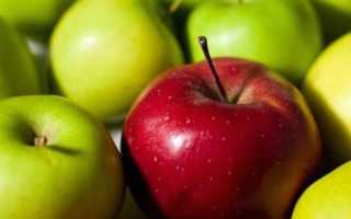 Польза и вред яблок при сахарном диабете