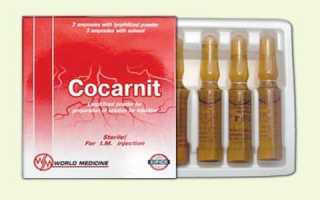 Как правильно использовать препарат Кокарнит?