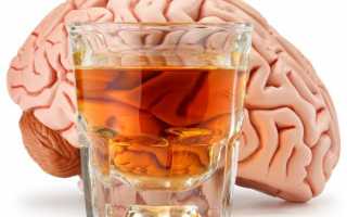 Влияние алкоголя на мозг: восстанавливаются ли клетки мозга после алкоголя