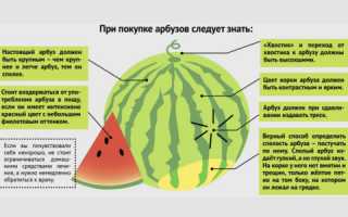 Польза арбуза при цистите