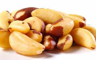 Полезные свойства бразильского ореха. Можно ли употреблять при сахарном диабете?